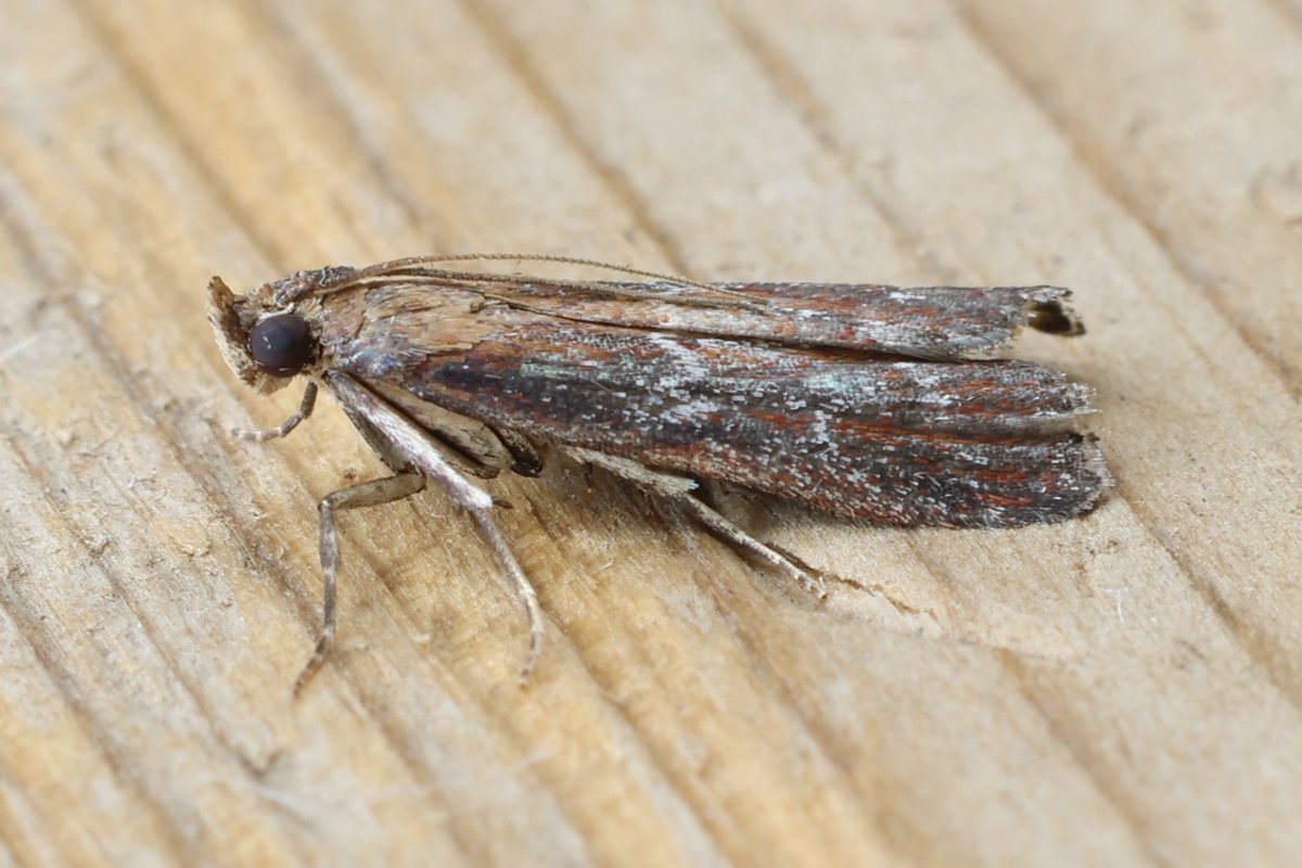 Jeremy Lindsell tweet media