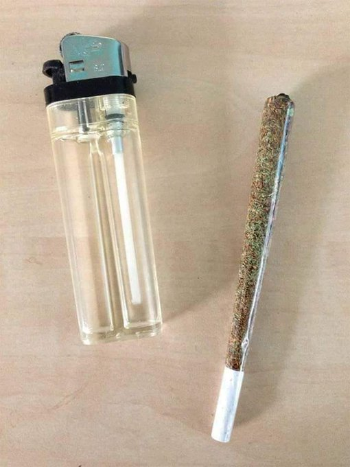 SPACECANNABIS's tweet photo. Transparência é tudo https://t.co/vPyqNMpyFZ