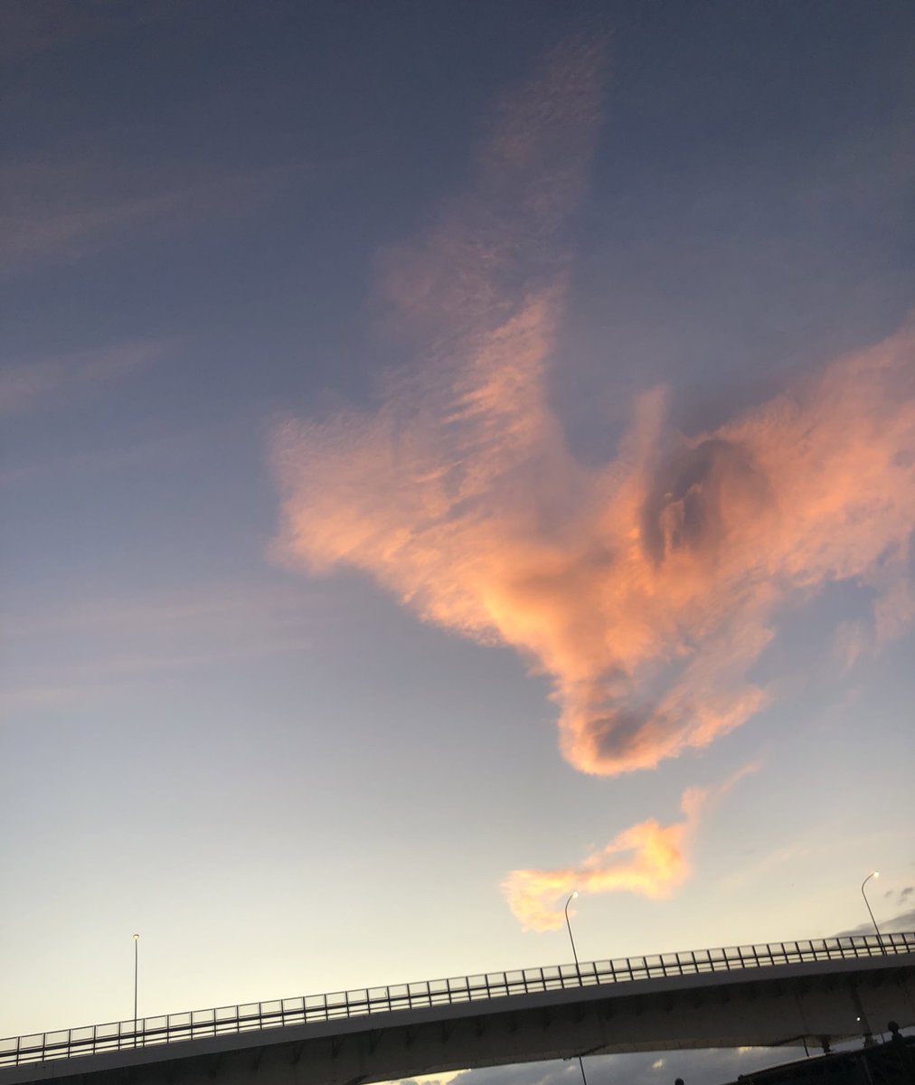 coco_color_1313's tweet image. 3連休中日。

皆さん楽しんでますか？
お仕事の皆さんお疲れ様です🍀

家族で花火大会🎇
夕暮れの空も花火も
とってもキレイでした✨

この角度の夜景もいいですね✨

＃7月20日 
＃函館
＃夕暮れ
＃イマソラ
＃ともえ大橋
＃函館新聞社
＃花火大会
＃北斗市　＃こころいろ
＃シフォンケーキ