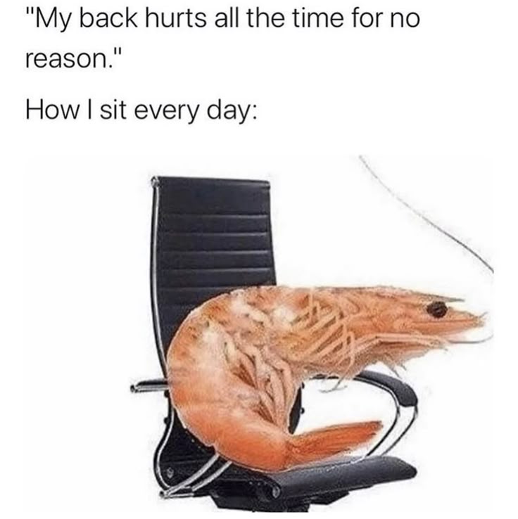 vx-underground (@vxunderground) on Twitter photo 