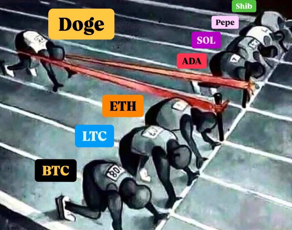 Sabith_Cb's tweet image. $DOGE gonna fly soon! 💤☠️