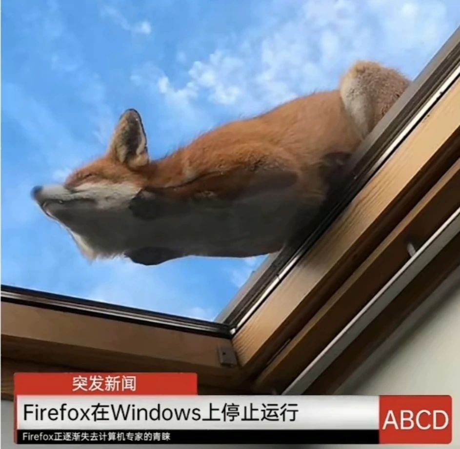 昨天我的Sony电视终于来维修了

搬家把主板震坏了

两个阿富汗工程师

年纪跟我相仿

利索几下搞完了

期间闲聊

得知他们在深圳的ZTE培训

后来给ZTE国际和华为国际打工

项目阿富汗和迪拜都有

素质相当的高

年初举家来加拿大

走得难民还是工签我没问

因为塔利班政府不让他们女儿上学

我沉默了