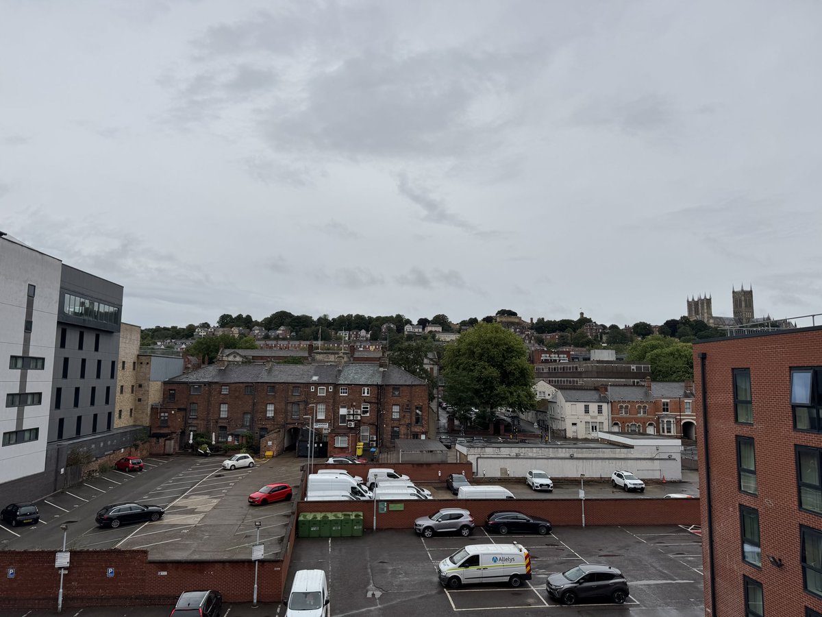 David Ison tweet media