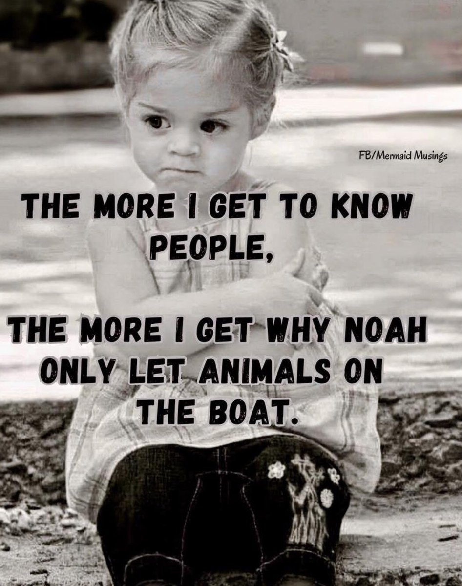 LittleAnn (@littleann310751) on Twitter photo 