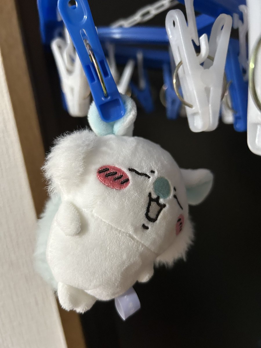 める (@melltage) on Twitter photo 