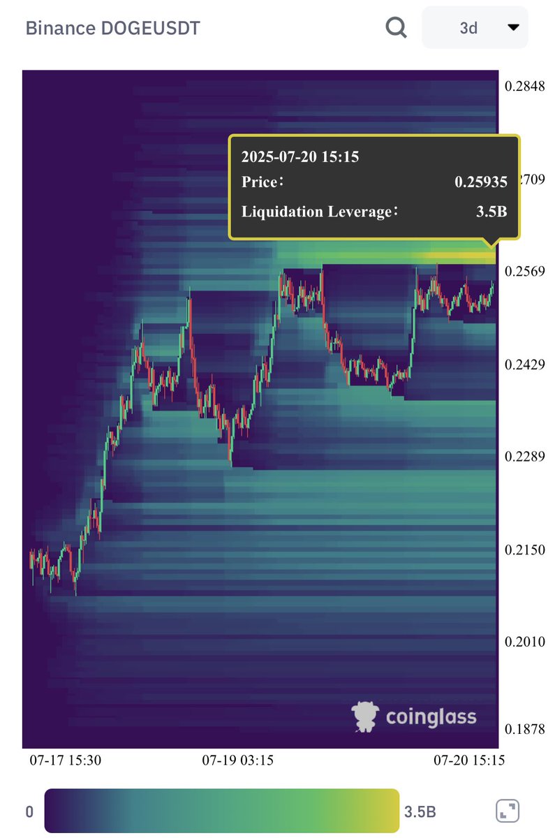 Traders are shorting Dogecoin $DOGE, creating a big liquidation wall at  $0.26!