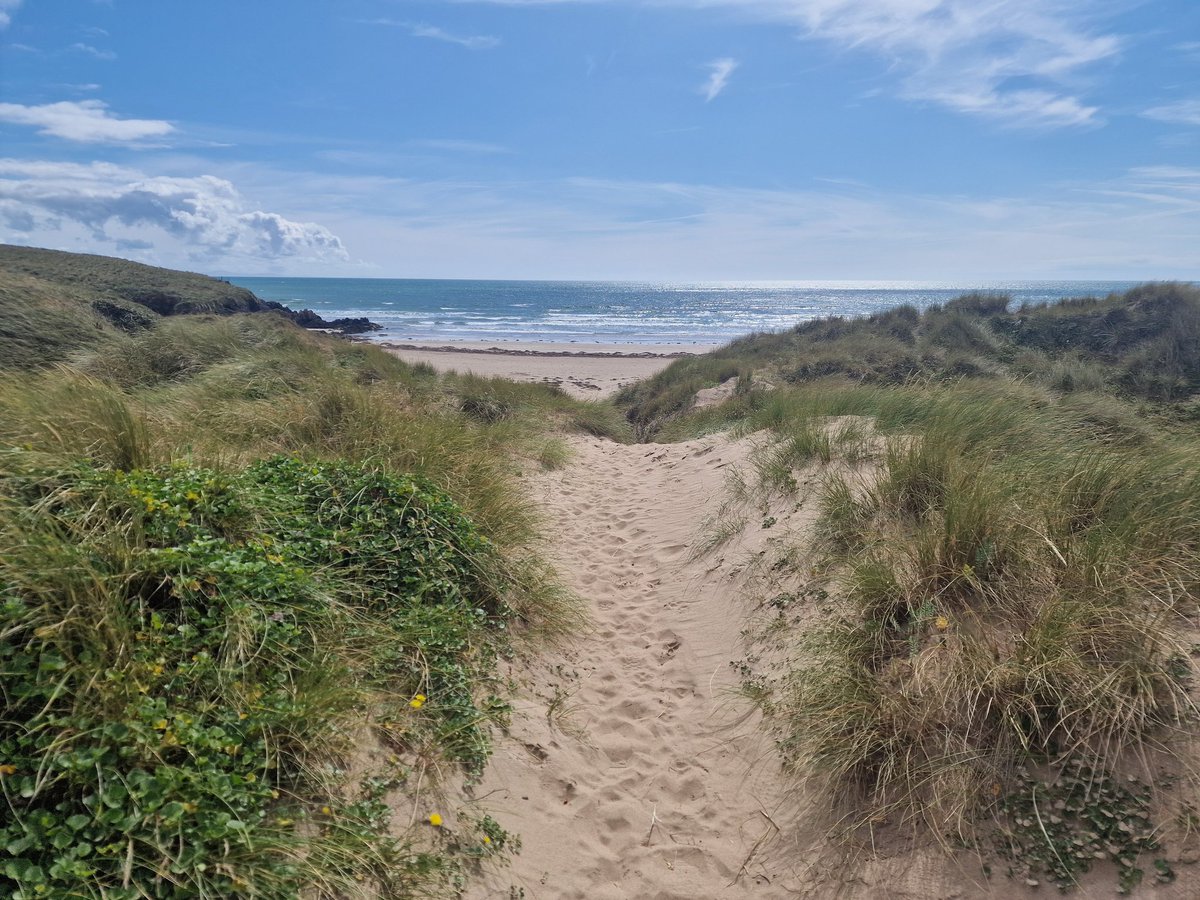 Maximilian Lebmeier tweet media