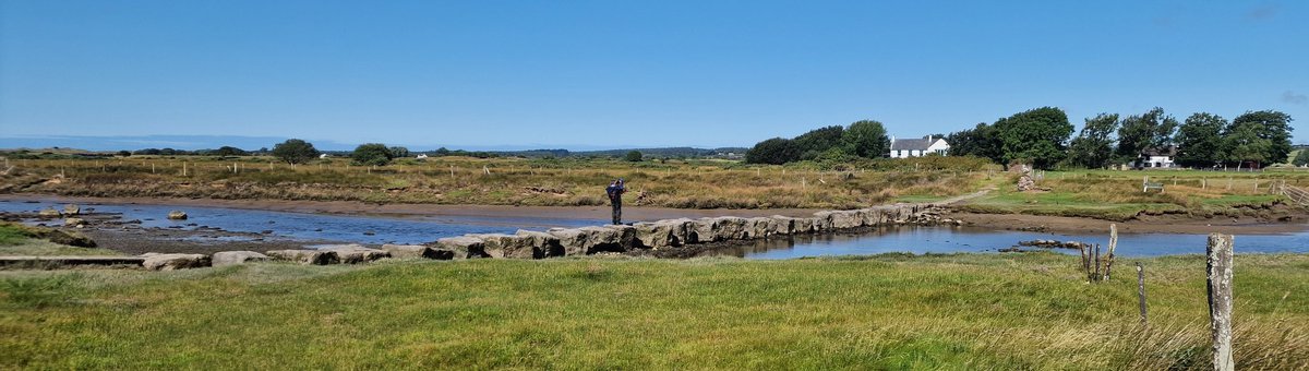 Maximilian Lebmeier tweet media