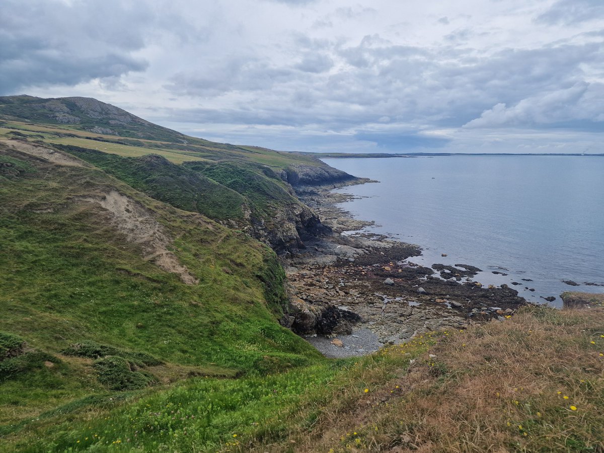 Maximilian Lebmeier tweet media