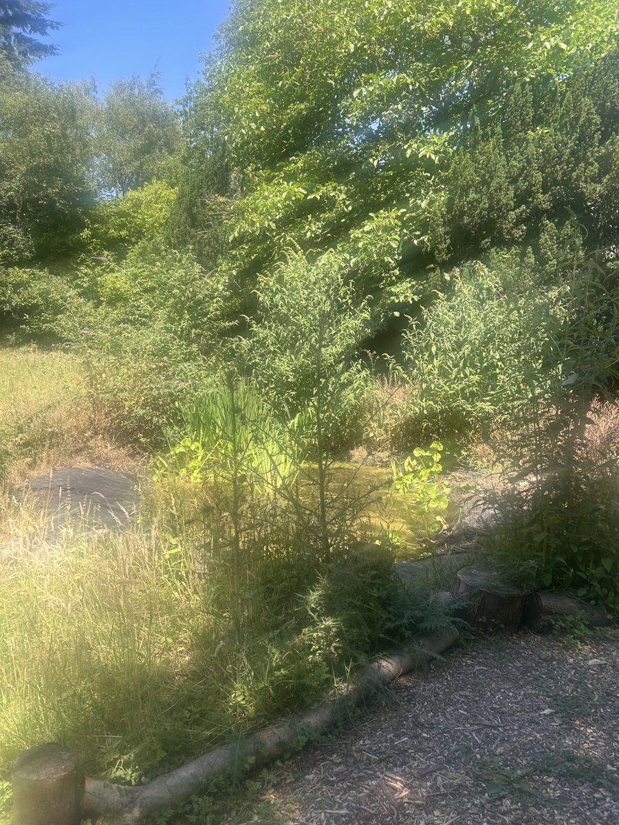 The Old Pheasantry tweet media