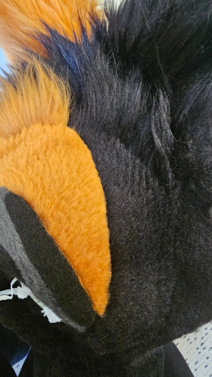 FurDelicious tweet media