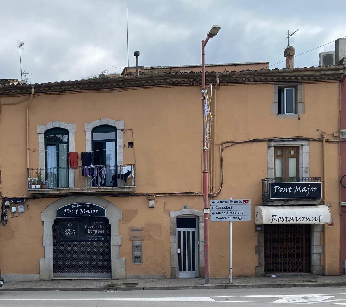 Carmina Solano Badia tweet media