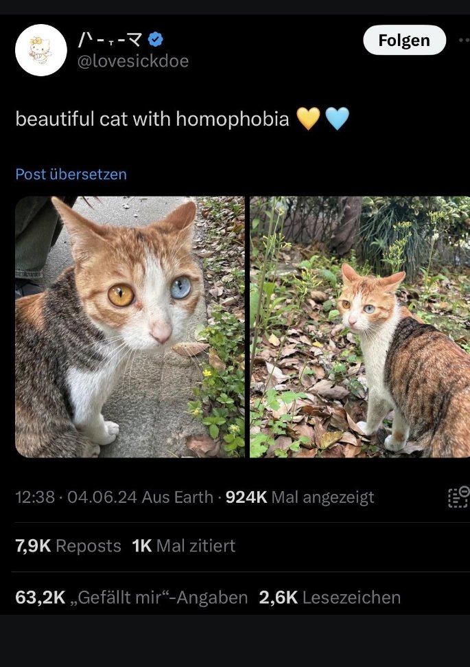 <a href="/catshealdeprsn/">cats with powerful impression 🐾</a>