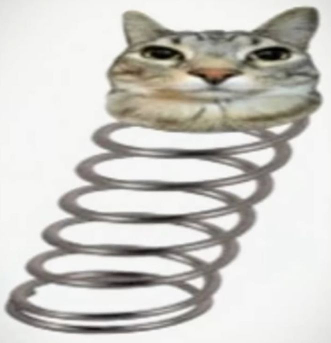 🕐HOURLY🕑 shitpost (@hourly_shitpost) on Twitter photo 