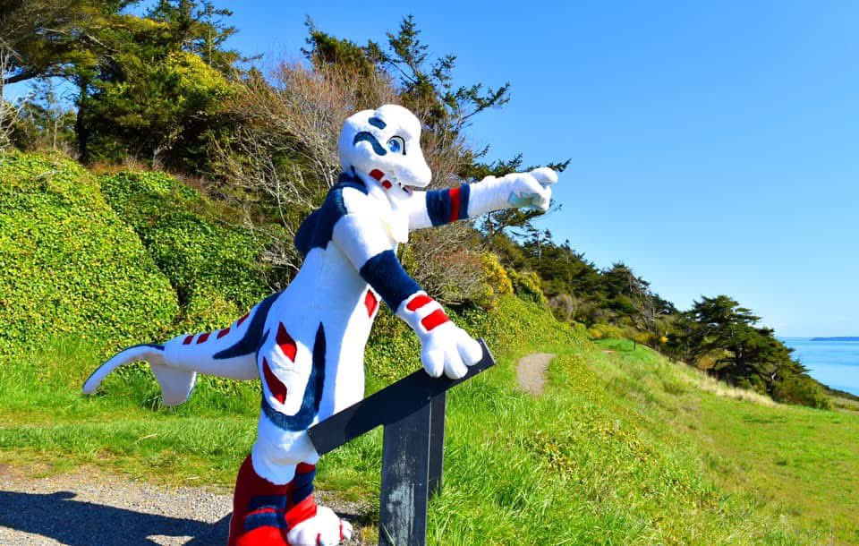 Happy #SkyproSunday from Naluark, your friendly neighborhood #Beluga whale!🐳 There, in the distance! It may not happen today, tomorrow, next week, or next month. But things will work out.💙

#furry #furries #fursuit #fursuits <a href="/Skyprocostumes/">Skyprocostumes🌻</a>