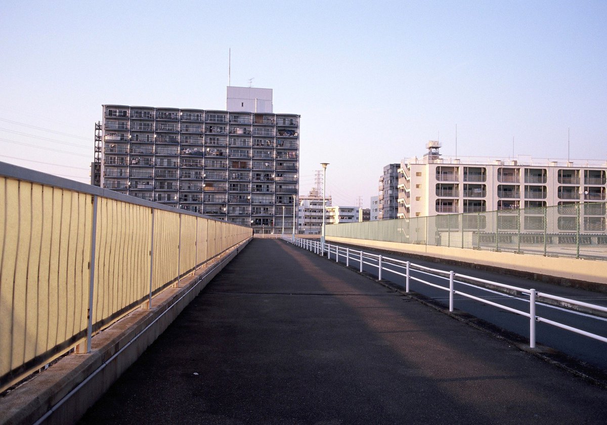 _mago0108's tweet image. 