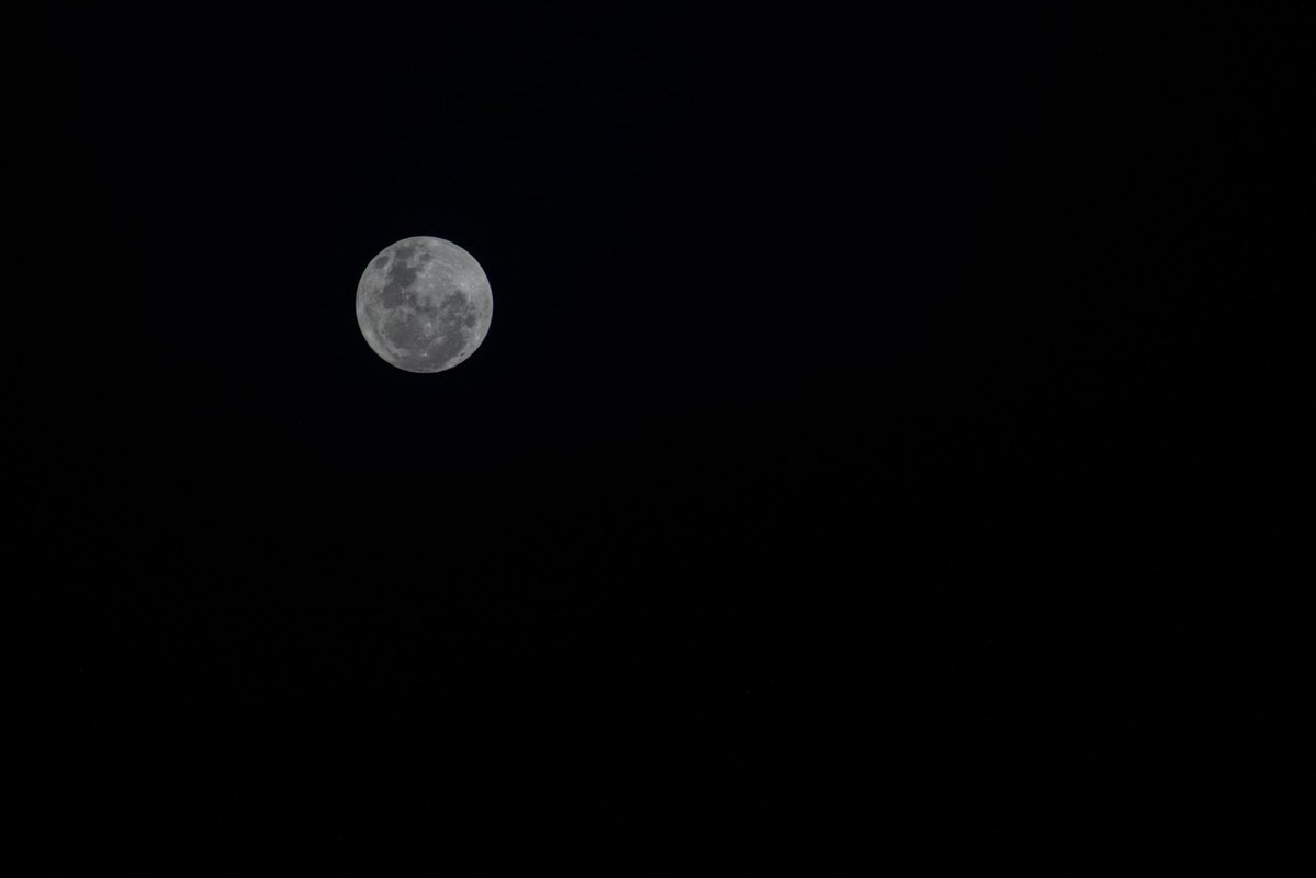 gagan_shux's tweet image. On this day in 1969 for the first time a human set foot on the moon. The moon that is 384,000 km away from us. The statement "It is a small step for a man but a giant leap for mankind" became etched in history as one of the most impactful. The achievement forever remains a…