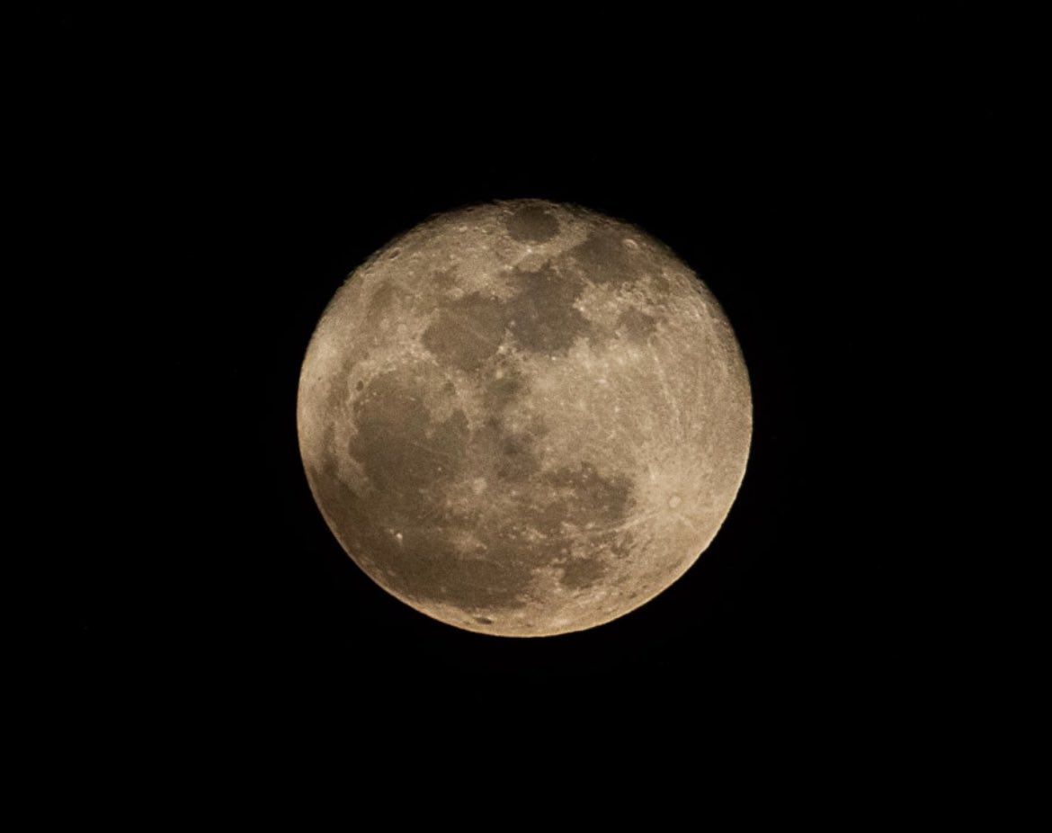gagan_shux's tweet image. On this day in 1969 for the first time a human set foot on the moon. The moon that is 384,000 km away from us. The statement "It is a small step for a man but a giant leap for mankind" became etched in history as one of the most impactful. The achievement forever remains a…