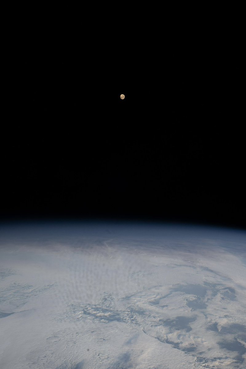 gagan_shux's tweet image. On this day in 1969 for the first time a human set foot on the moon. The moon that is 384,000 km away from us. The statement "It is a small step for a man but a giant leap for mankind" became etched in history as one of the most impactful. The achievement forever remains a…