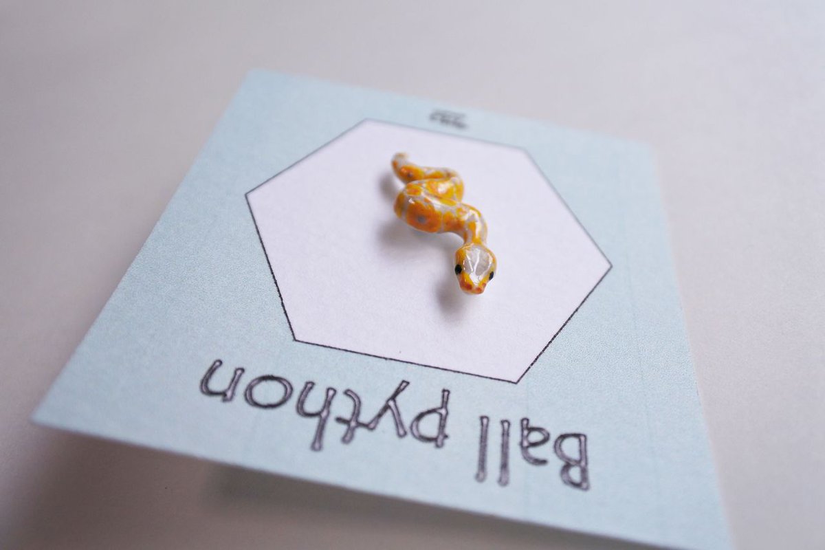 sasacojunior's tweet image. Ball pythons can “see” heat thanks to pit organs located near their mouths 🐍🔥
These specialized structures detect infrared, letting them hunt even in total darkness.
Thermal vision, reptile style.
#BallPython #InfraredVision #SnakeFacts #HandmadeJewelry #ArtistOnX