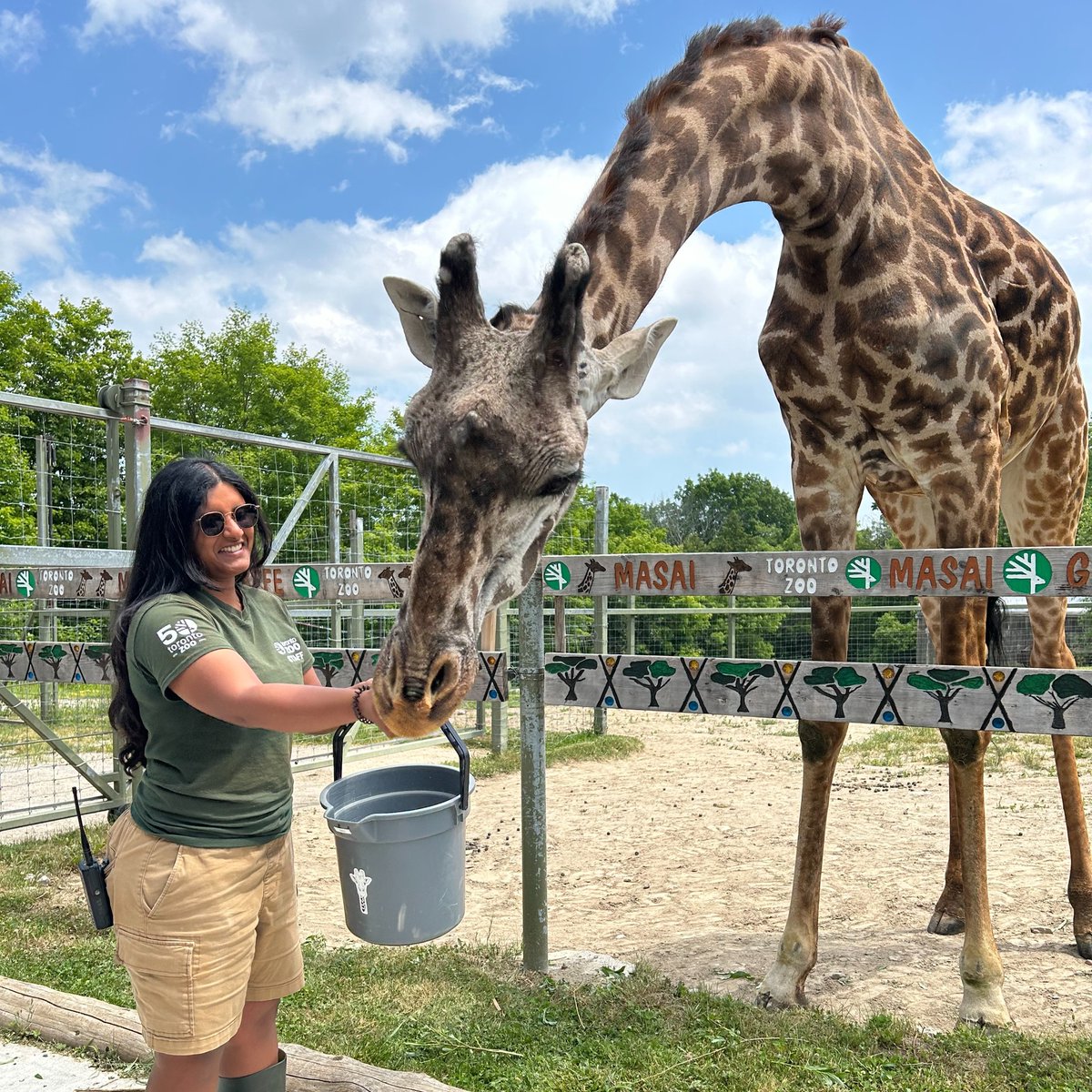 TheTorontoZoo's tweet image. As we begin #NationalZookeeperWeek, we proudly celebrate our Guardians of Wild — your zookeepers who work tirelessly to care for wildlife, all while protecting endangered species and inspiring conservation 🌎
At the Toronto Zoo this week? Thank them should you have the chance 💚