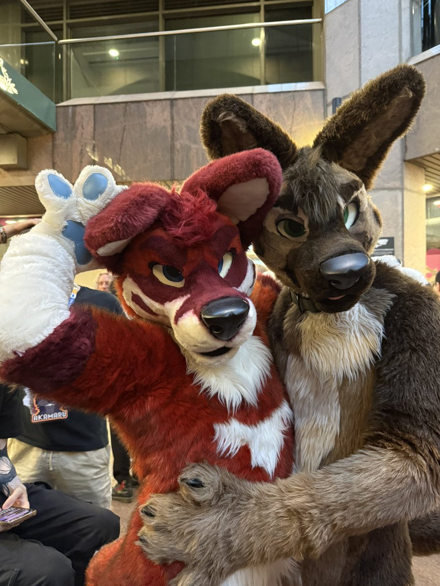 Huxley ๐ Confuzzled (@drhappygrowl) on Twitter photo Londonfurs Summer Party madness!
So many lovely peeps and only so much time and stamina ๐
Featuring: <a href="/Kitzen_Waffles/">Waffles</a> <a href="/AsherTheDragon/">Asher Dragon ๐ DW ๐ FURC ๐ CFZ</a>, <a href="/xTalon/">Talon ๐ฎ๐ช ๐ LFM</a> and <a href="/MadAxelShep/">Axel</a> โฅ๏ธ Londonfurs Summer Party madness!
So many lovely peeps and only so much time and stamina ๐
Featuring: <a href="/Kitzen_Waffles/">Waffles</a> <a href="/AsherTheDragon/">Asher Dragon ๐ DW ๐ FURC ๐ CFZ</a>, <a href="/xTalon/">Talon ๐ฎ๐ช ๐ LFM</a> and <a href="/MadAxelShep/">Axel</a> โฅ๏ธ