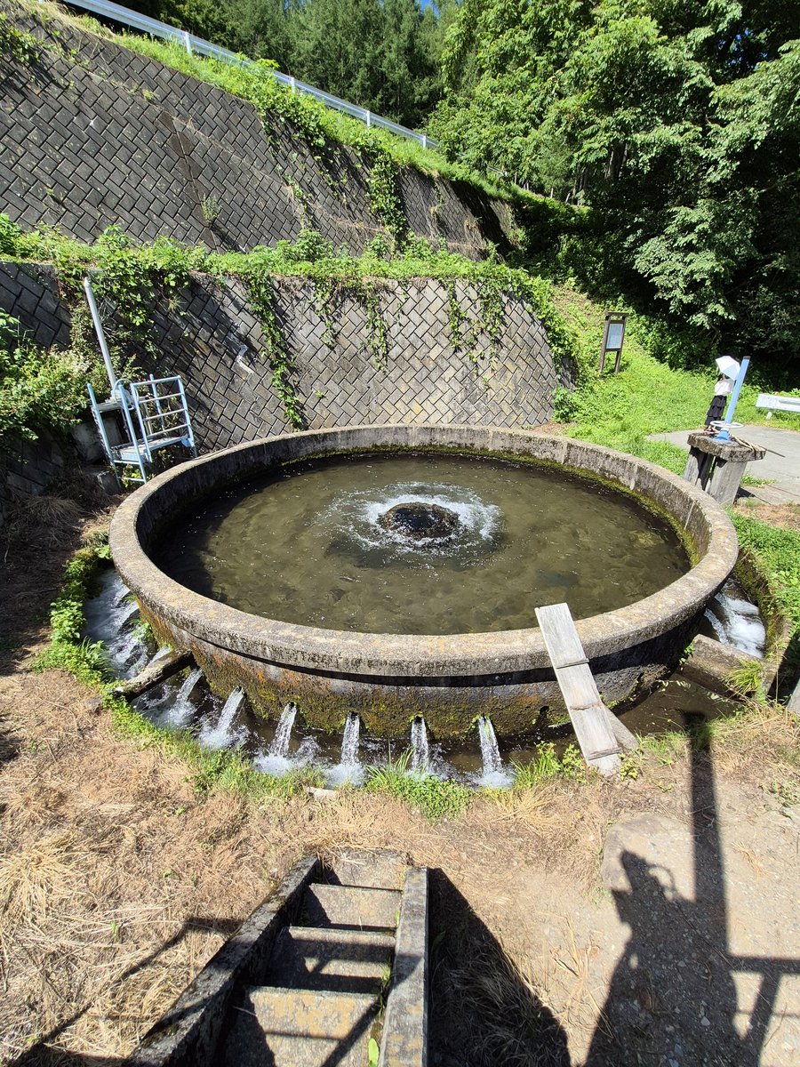 km_207's tweet image. 鷽ノ口円形分水

地元には越流式しか無かったので、実際目にすると本当に美しくて...
