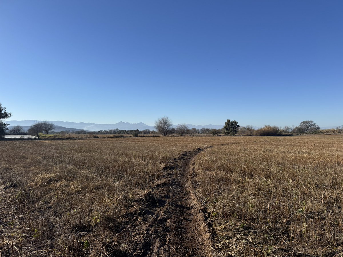 La oficina y sus curvas