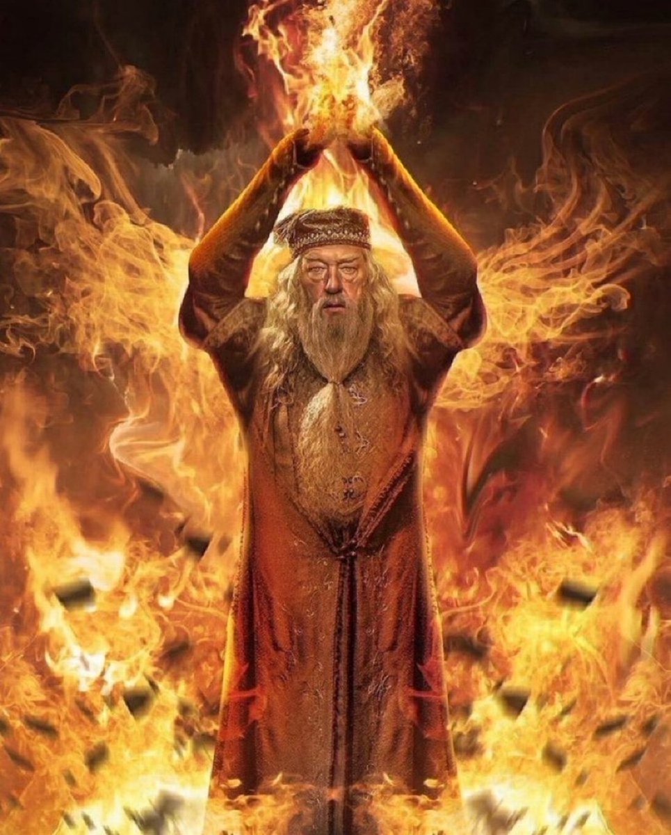 Dumbledore 🔥