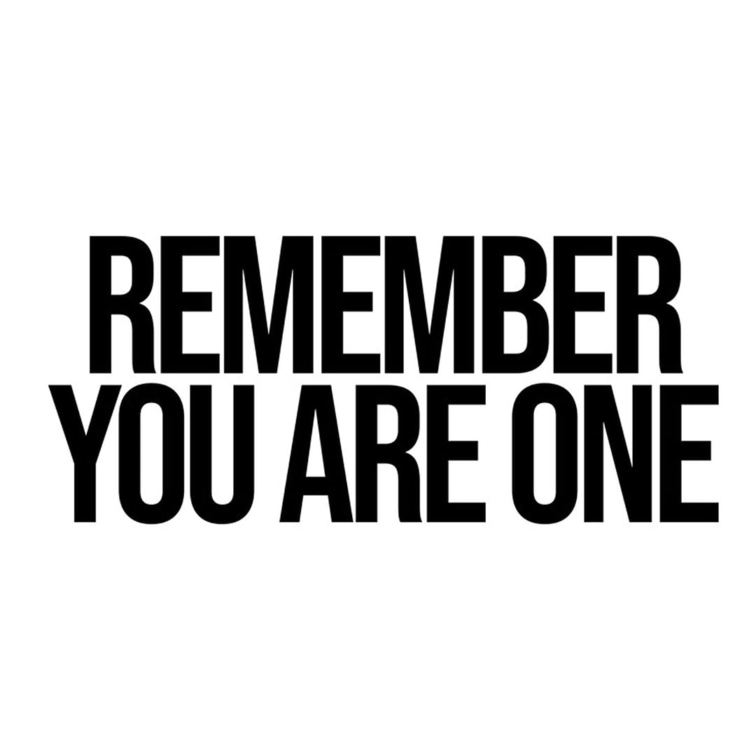 SP Filmviewers tweet media