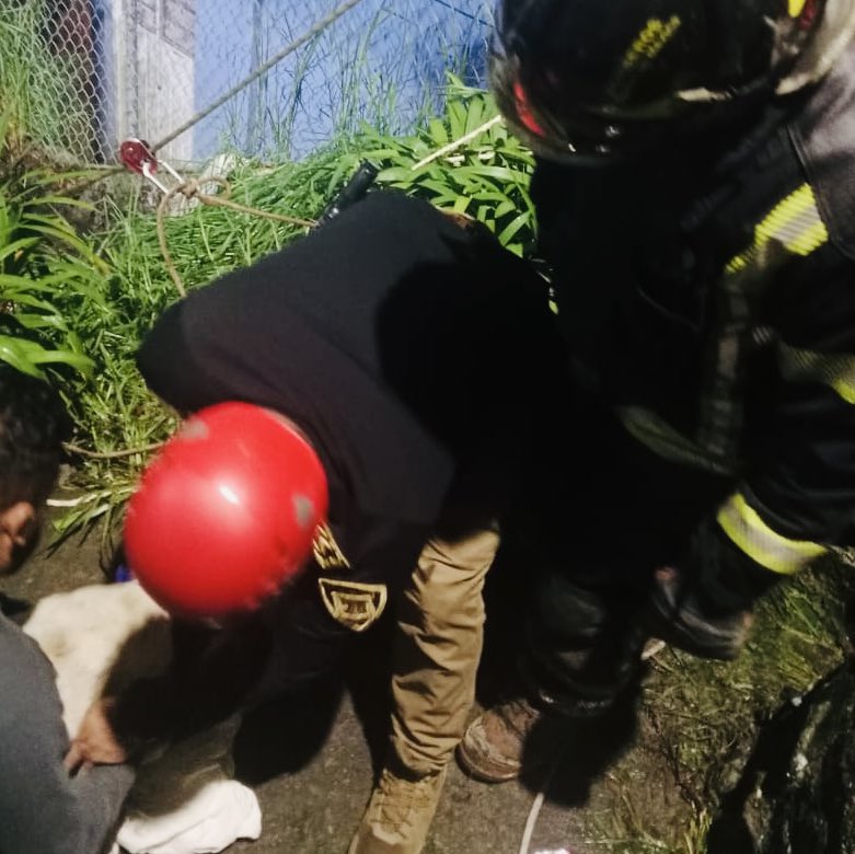 Después de un gran trabajo de búsqueda en la colonia Lomas de San Bernabé, en La Magdalena Contreras, logramos rescatar y poner a salvo a este can que permanecía amarrado y atrapado, luego del deslizamiento de tierra registrado en la zona. 

Fue entregado a la Brigada de