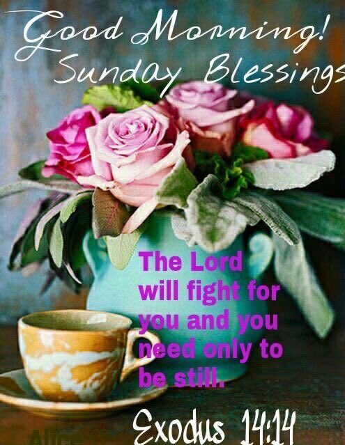 Happy Sunday!