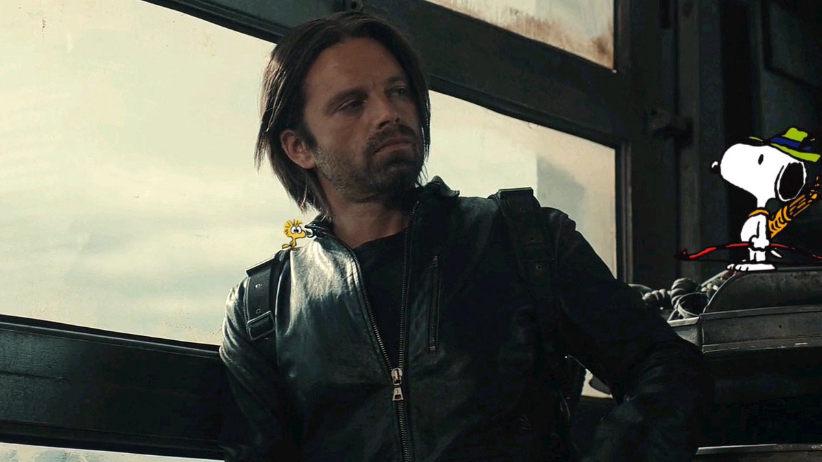 🐾 (@sebsnopy) on Twitter photo 