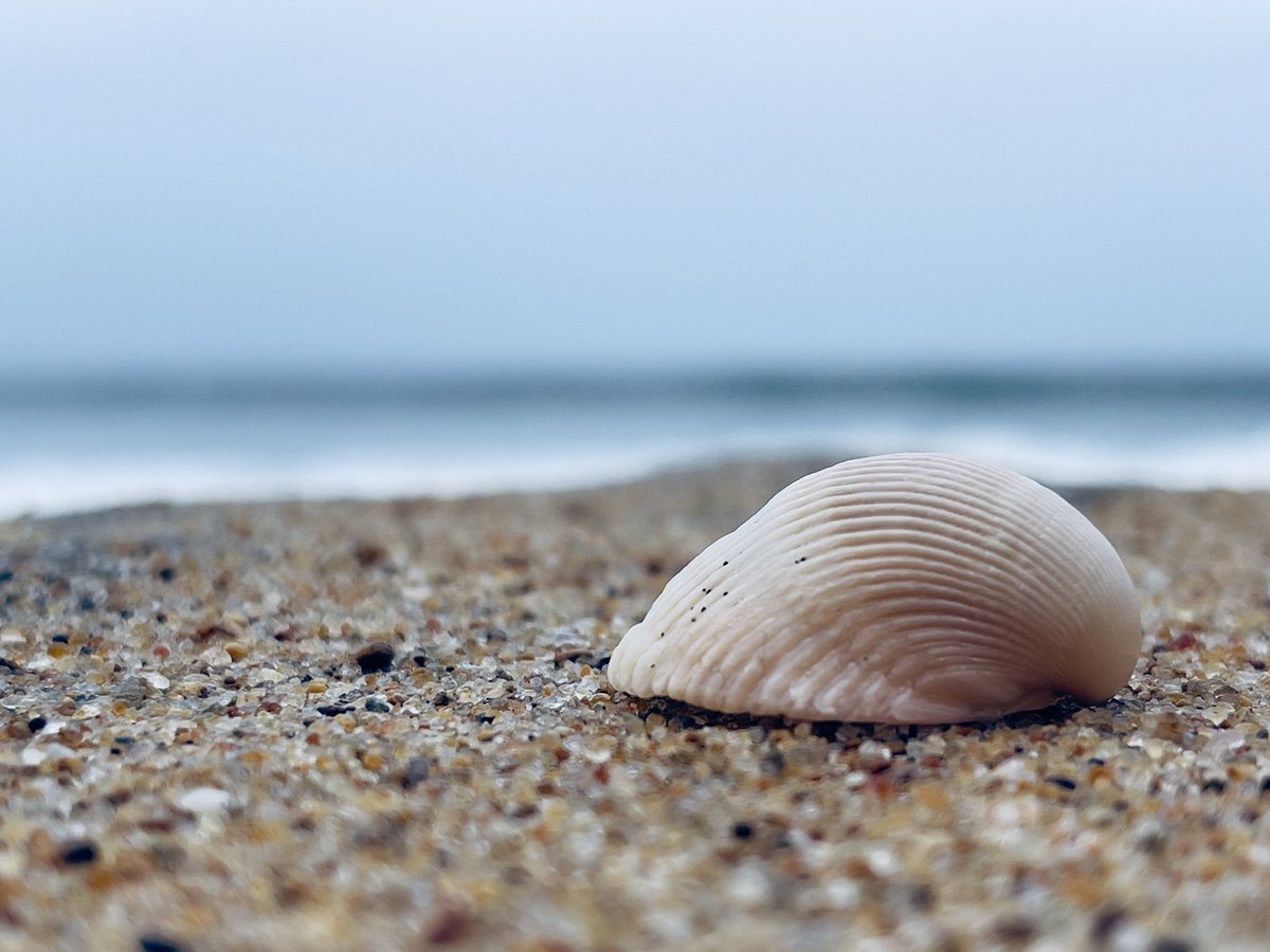 Kovalam, Chennai🏖️