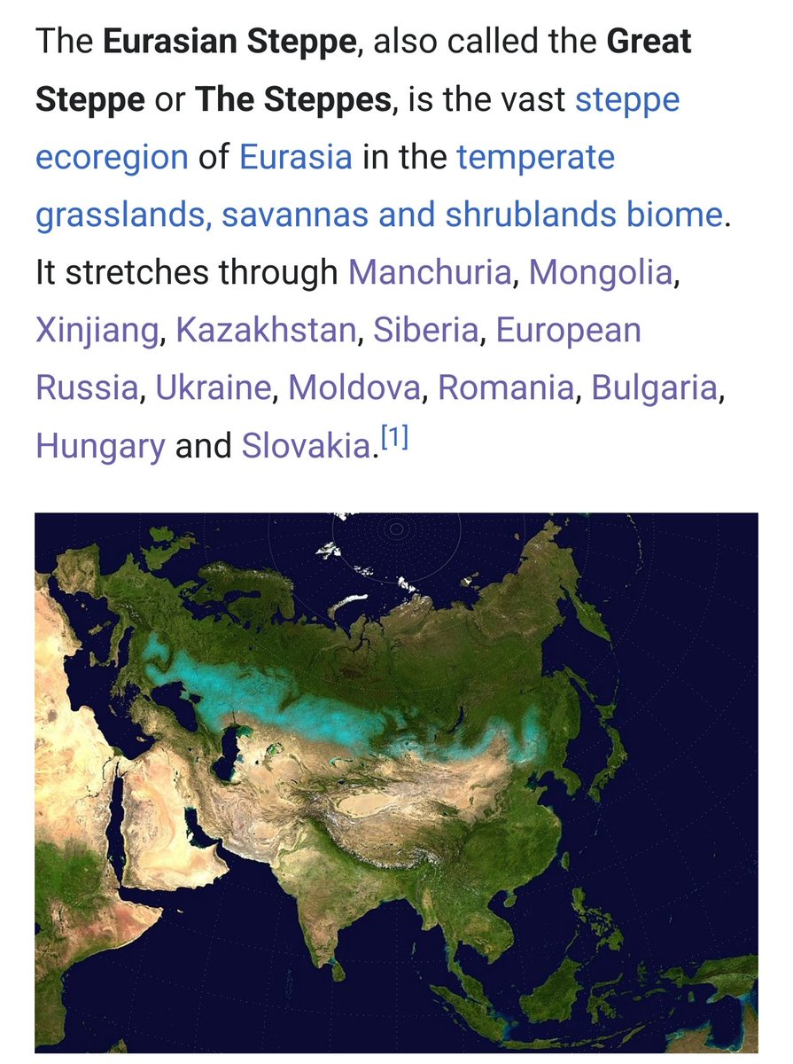 SteppeShaman's tweet image. It is still possible to travel from Europe to the Sea of Japan by horse, because the steppe stretches from Slovakia to Manchuria
A great undertaking