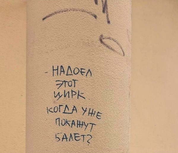 watermelonONK's tweet photo. Действительно! https://t.co/I3zMUCvSiz