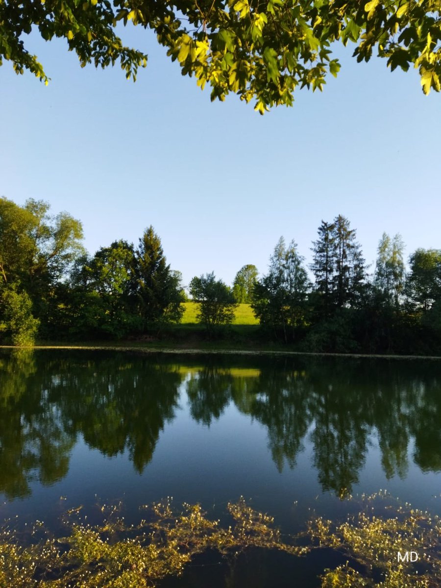 Martina Dvorská (@martinadvorsk2) on Twitter photo 