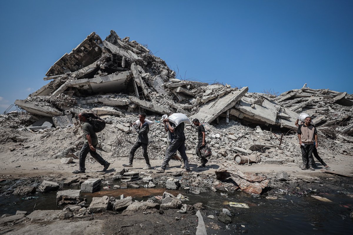 Zaher Saleh (@zaherwael122) on Twitter photo Aid trucks entered via Zikim crossing, delivering flour to desperate civilians. The scene was marked by pain, with wounded and martyrs among the crowd, victims of gunfire and shelling in northern Gaza.
<a href="/zaherwael122/">Zaher Saleh</a> Aid trucks entered via Zikim crossing, delivering flour to desperate civilians. The scene was marked by pain, with wounded and martyrs among the crowd, victims of gunfire and shelling in northern Gaza.
<a href="/zaherwael122/">Zaher Saleh</a>