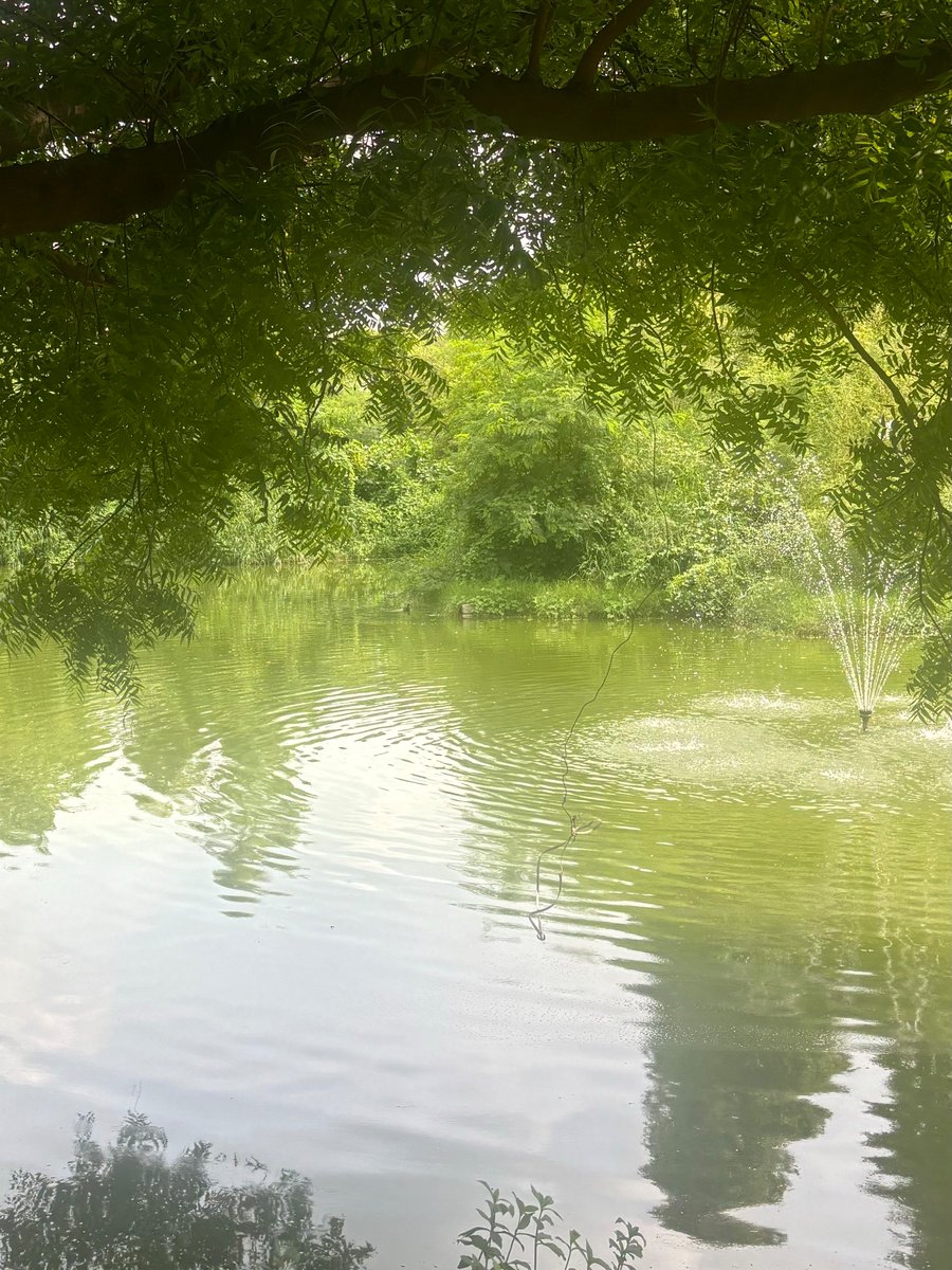 gar_i_ma's tweet image. Somewhere in Delhi and its harsh sun, nature can still be pretty.