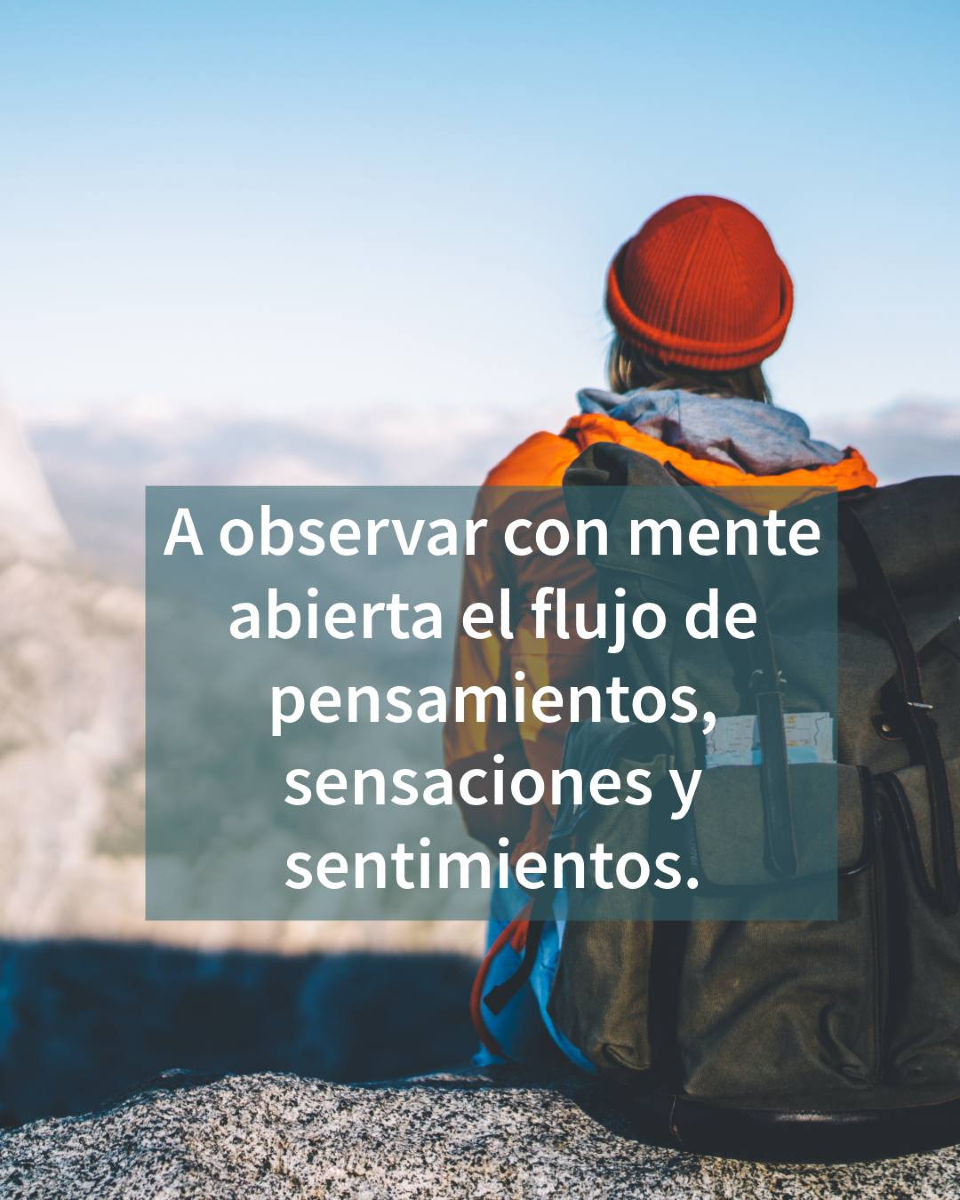 PlanetaLibrosMx's tweet image. Mario Alonso Puig nos descubre en este libro el mindfulness: prestar atención para ver las cosas tal y como son.
Con base científica y apoyado en una parte práctica para meditar, ¡Tómate un respiro! te enseña a mantener la calma en la tempestad 📘👉 planetadelibros.com.mx/libro-tomate-u…