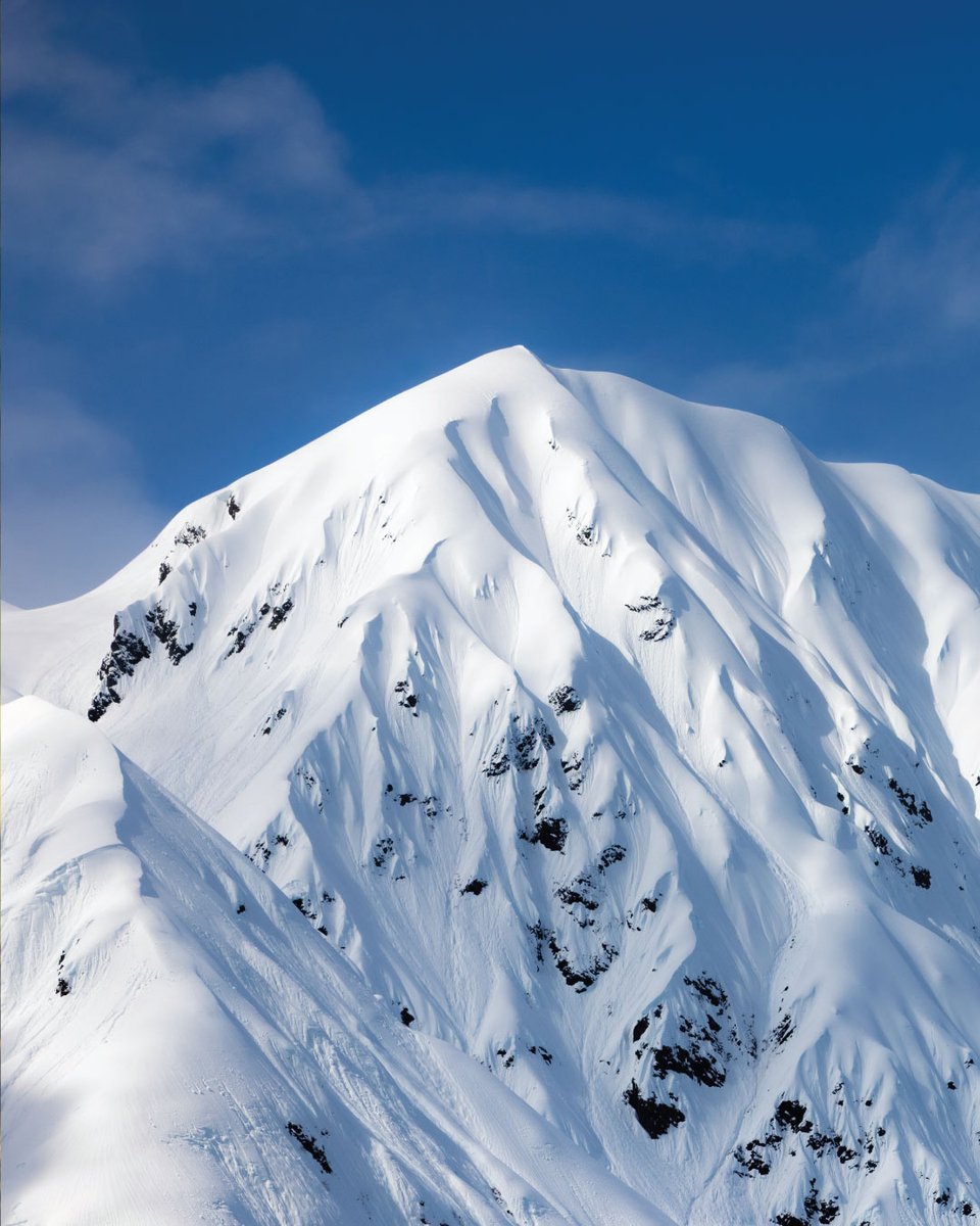 PrincessCruises's tweet image. Let the beauty of Alaska speak for itself. 🏞