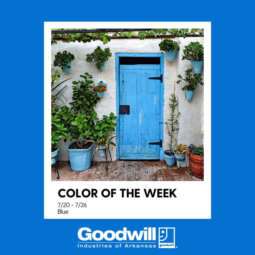GoodwillAR's tweet image. The color of the week is BLUE! All items with blue tags are 50% off. 💙🏙️🛼#HappyThrifting