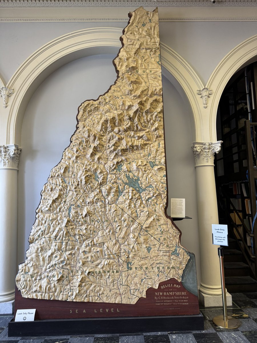 Duck Duck tweet media