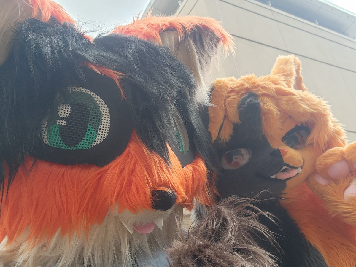 V3rdant_TW's tweet image. This is it! Final day of ConnectiCon! And it&apos;s Foko&apos;s first time here

#ConnectiCon #ConnectiCon2025 #furry #fursuit #originalcharacter