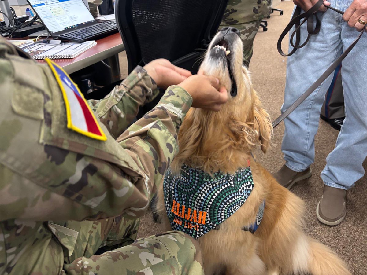 TDEM's tweet image. 🐾 Elijah & Joy recently came by the Texas State Emergency Operations Center to bring comfort and smiles to personnel working tirelessly to support TX’s flood response.
They provided a small boost as #TeamTexas continues working around the clock.
#TexasStrong