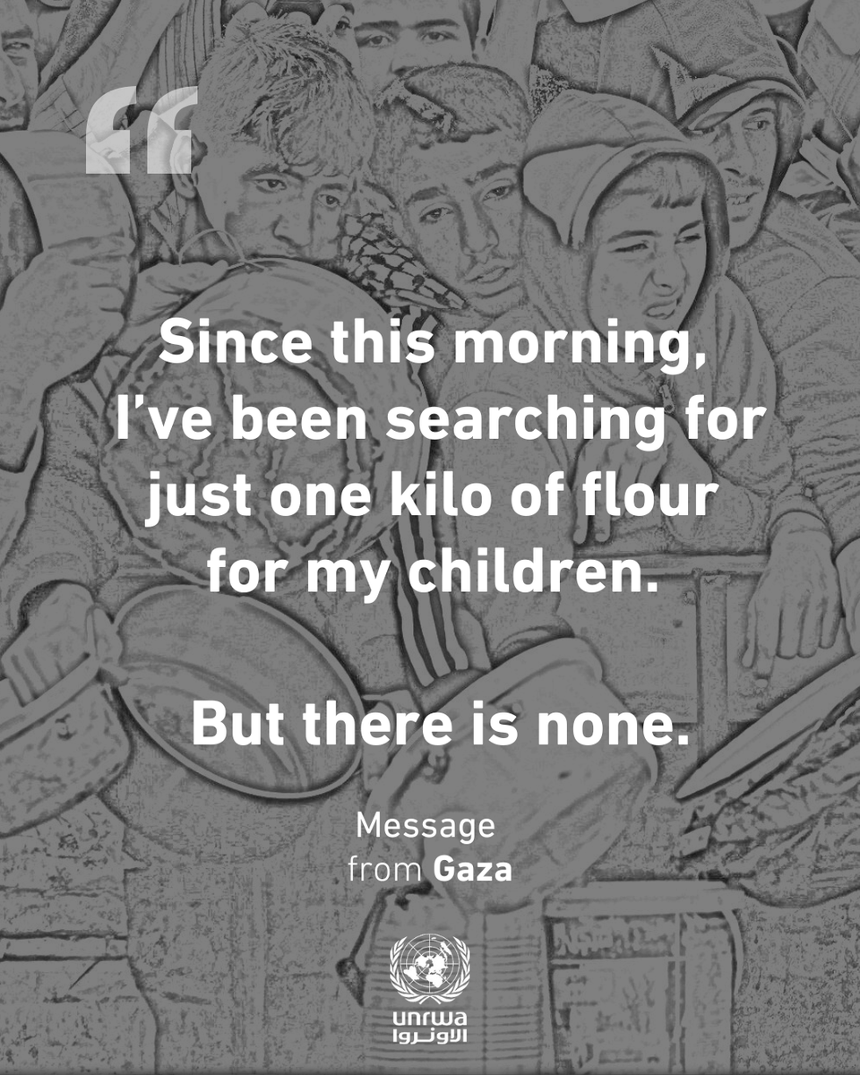 UNRWA's tweet image. People can’t find food in #Gaza to feed their families.
The current distribution of food by the Israeli-American so-called “Gaza Humanitarian Fund” does not work.
During the ceasefire, the UN including UNRWA proved it can provide food safely and at scale across the Gaza Strip.…