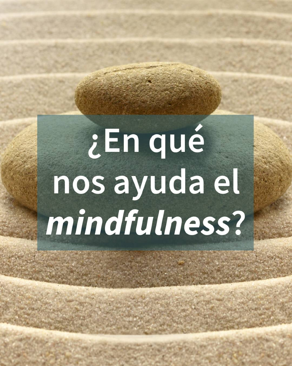 PlanetaLibrosMx's tweet image. Mario Alonso Puig nos descubre en este libro el mindfulness: prestar atención para ver las cosas tal y como son.
Con base científica y apoyado en una parte práctica para meditar, ¡Tómate un respiro! te enseña a mantener la calma en la tempestad 📘👉 planetadelibros.com.mx/libro-tomate-u…