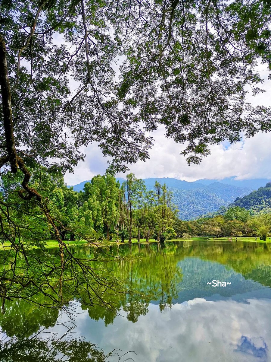 sha_m292411's tweet image. ❤️HAPPY NEW WEEK❤️
Be patient with destiny
until suffering transforms into bliss
When the heart is perfected
all the conditions become perfect💕
🌸Sheikh Abdul Kadir Jilani🌸
Wake at dawn with a winged heart and give thanks to another day of loving💕
🌸Kahlil Gibran🌸
🇲🇾❤️~🤲😘