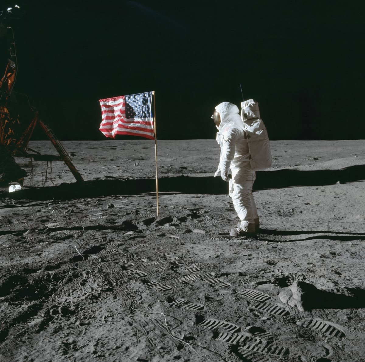 WingDynasty's tweet image. 56 years ago today, two White American men put their footprints on another world.