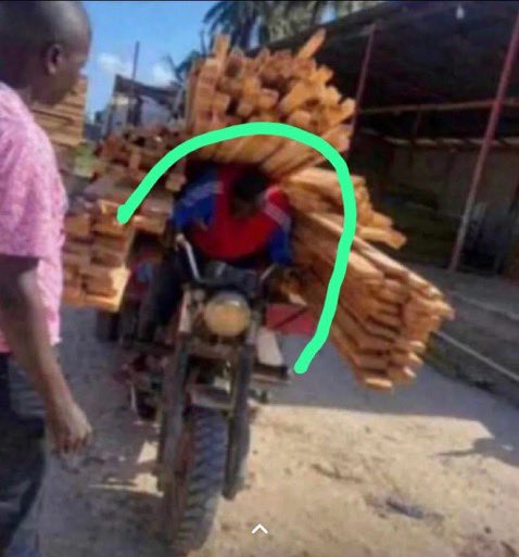 Lapo kids and risk 🤝😭😭